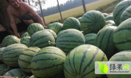 临夏吃瓜爆料最新事件,最新事件引发热议，真相究竟如何？”